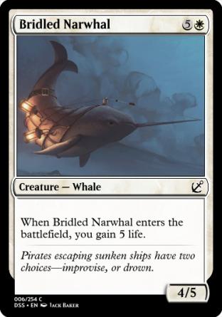Bridled Narwhal