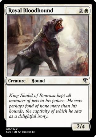Royal Bloodhound
