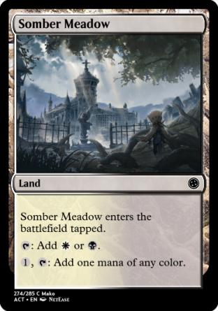 Somber Meadow