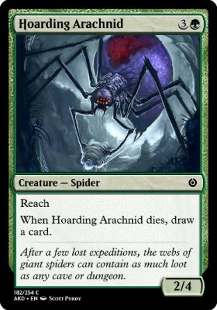 Hoarding Arachnid