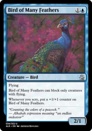 Bird of Many Feathers