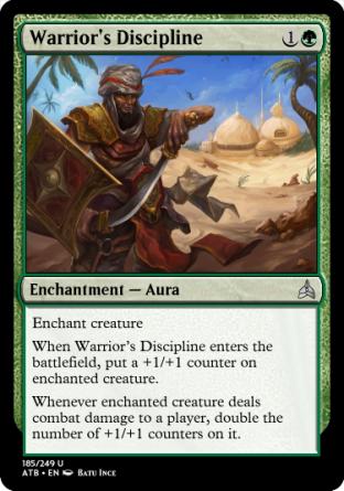 Warrior's Discipline