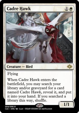 Cadre Hawk