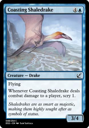 Coasting Shaledrake