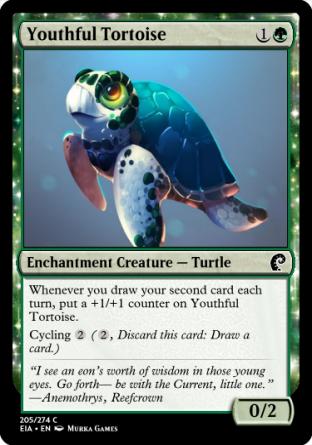 Youthful Tortoise