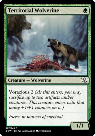 Territorial Wolverine