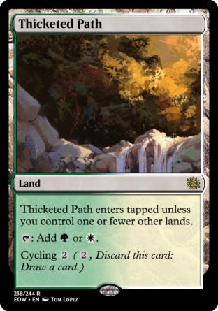 Thicketed Path