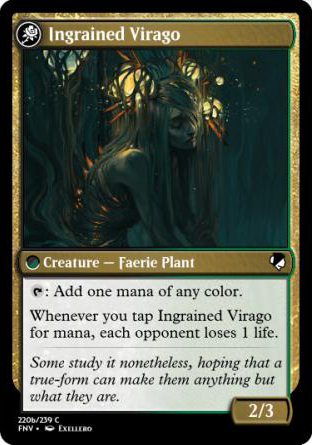 Ingrained Virago