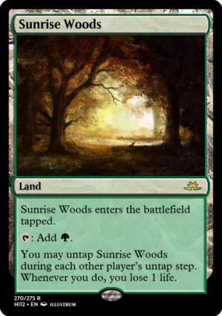 Sunrise Woods
