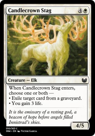 Candlecrown Stag