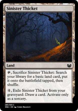 Sinister Thicket