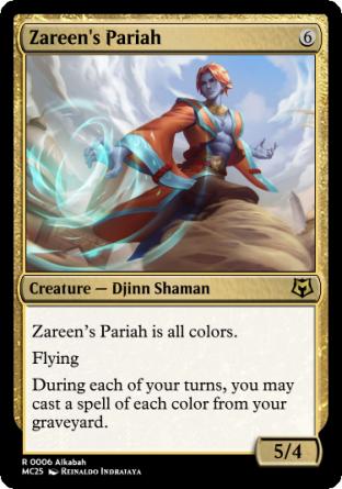 Zareen's Pariah