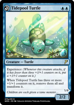 Tidepool Turtle