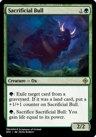 Sacrificial Bull