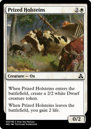 Prized Holsteins
