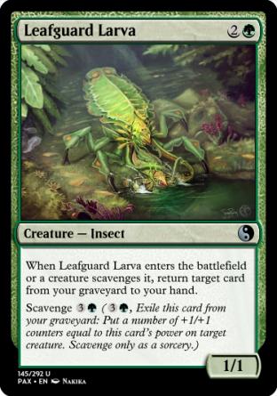 Leafguard Larva