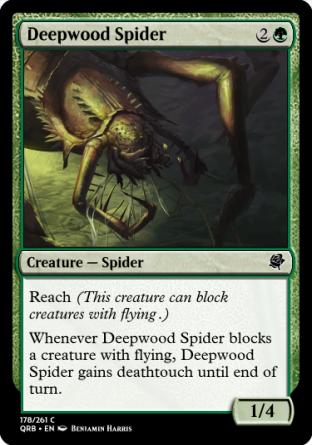 Deepwood Spider