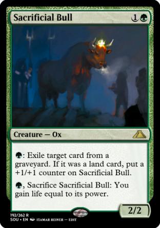 Sacrificial Bull