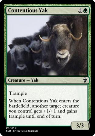 Contentious Yak