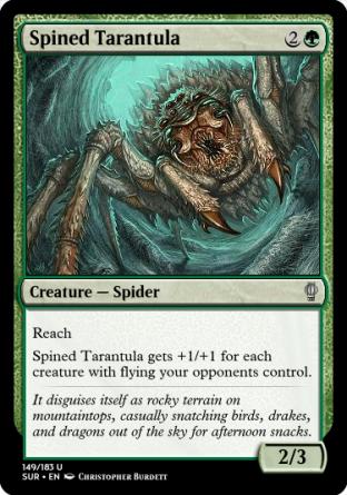 Spined Tarantula