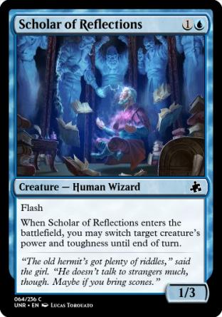 Scholar of Reflections